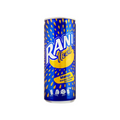 RANI CANA JUICE 240 ML CAN MANGO